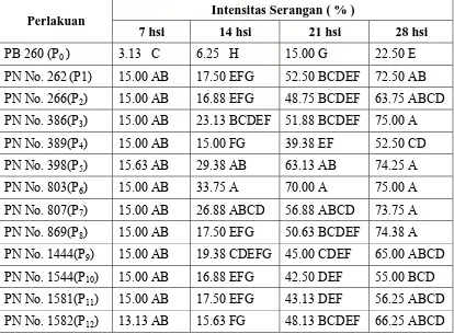Tabel 2. Uji Beda Rataan Intensitas Serangan ( % ) C. cassiicola pada perlakuan Kultivar ( P ) untuk Setiap Waktu Pengamatan (hsi)  