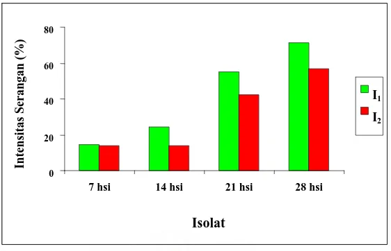 Gambar 5. Histogram Intensitas Serangan ( % ) C. cassiicola  pada Perlakuan Isolat ( I ) 
