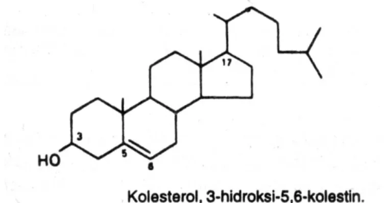 Gambar 1 memperlihatkan struktur kimia kolesterol. 