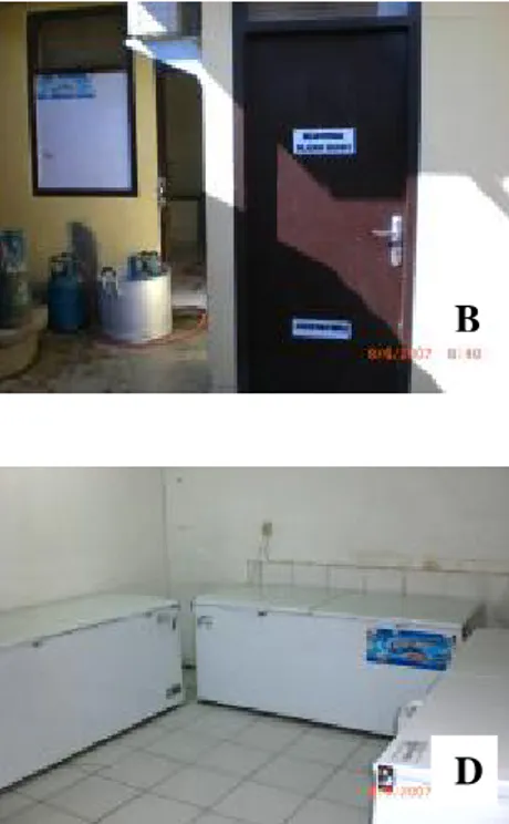Gambar  3.    Gudang  Bahan  Baku  Gula,  (A),  Ruang  Produksi  (B),  Area  Pasteurisasi,  Pendinginan  dan  Inokulasi  Starter  (C),  Ruang  Penyimpanan Produk Akhir (D) 