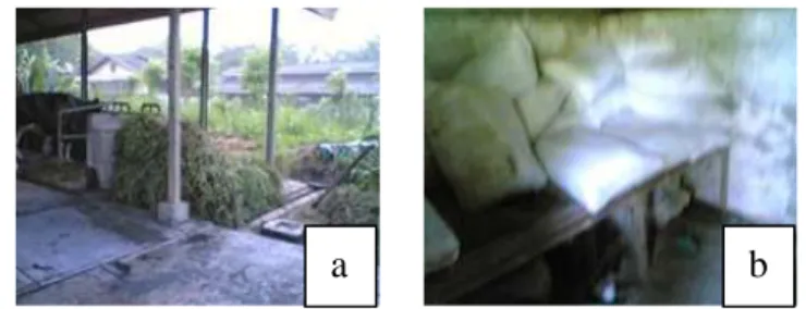Gambar 6. Penyimpanan Pakan di Eco Farm (a) Hijauan dan (b) Konsentrat b 