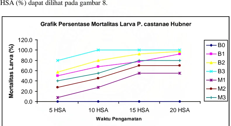 Grafik Persentase Mortalitas Larva P. castanae Hubner