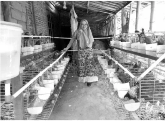 Gambar  4.  Produksi  telur  ayam  ras  di  Panti asuhan An-Nahl 