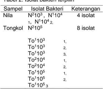 Tabel 2. Isolat bakteri terpilih 