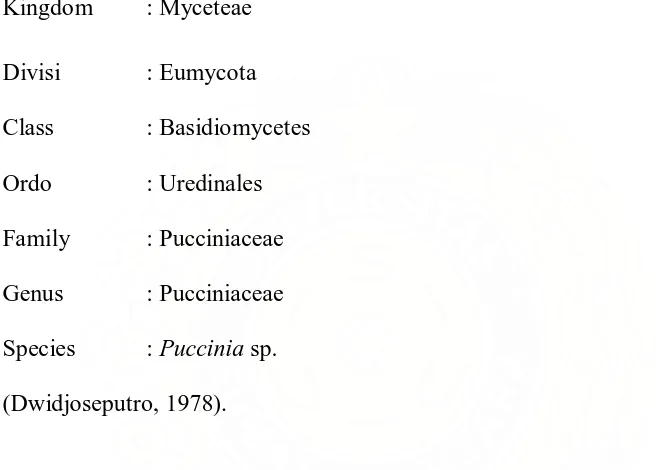 Gambar 5. Urediospora Puccinia sp. (a) Sumber : Pengamatan di Mikroskop Perbesaran 40x 