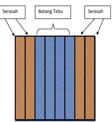 Gambar 10 Sistem tebang 4 – 2 (Khaerudin 2008). 