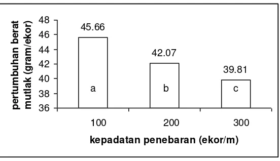 Gambar 4. Grafik rata-rata berat mutlak lele dumbo 
