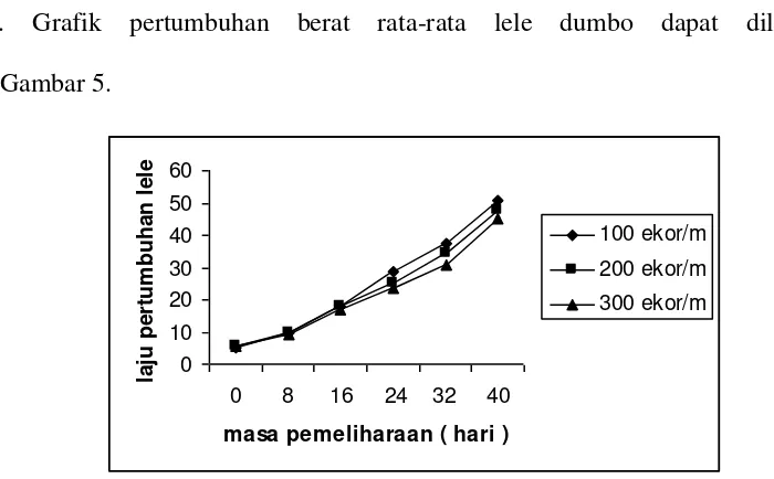 Gambar 5. Grafik pertumbuhan rata-rata lele dumbo selama 40 hari 