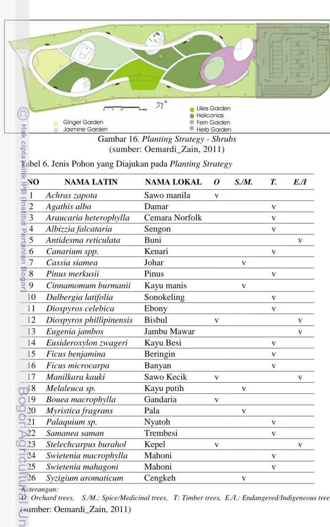 Gambar 16. Planting Strategy - Shrubs  (sumber: Oemardi_Zain, 2011)  Tabel 6. Jenis Pohon yang Diajukan pada Planting Strategy 