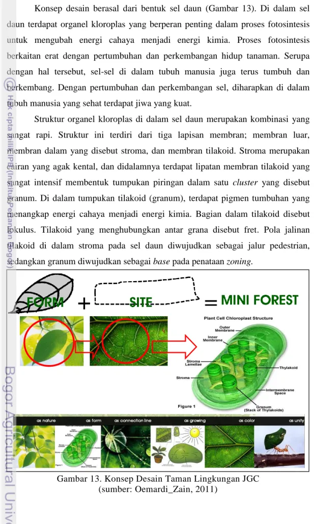 Gambar 13. Konsep Desain Taman Lingkungan JGC  (sumber: Oemardi_Zain, 2011) 