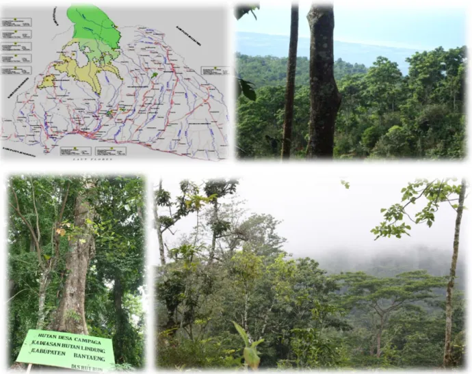 Gambar 1. Sketsa peta kawasan hutan  dan  lokasi Hutan Desa  Kabupaten Bantaeng 