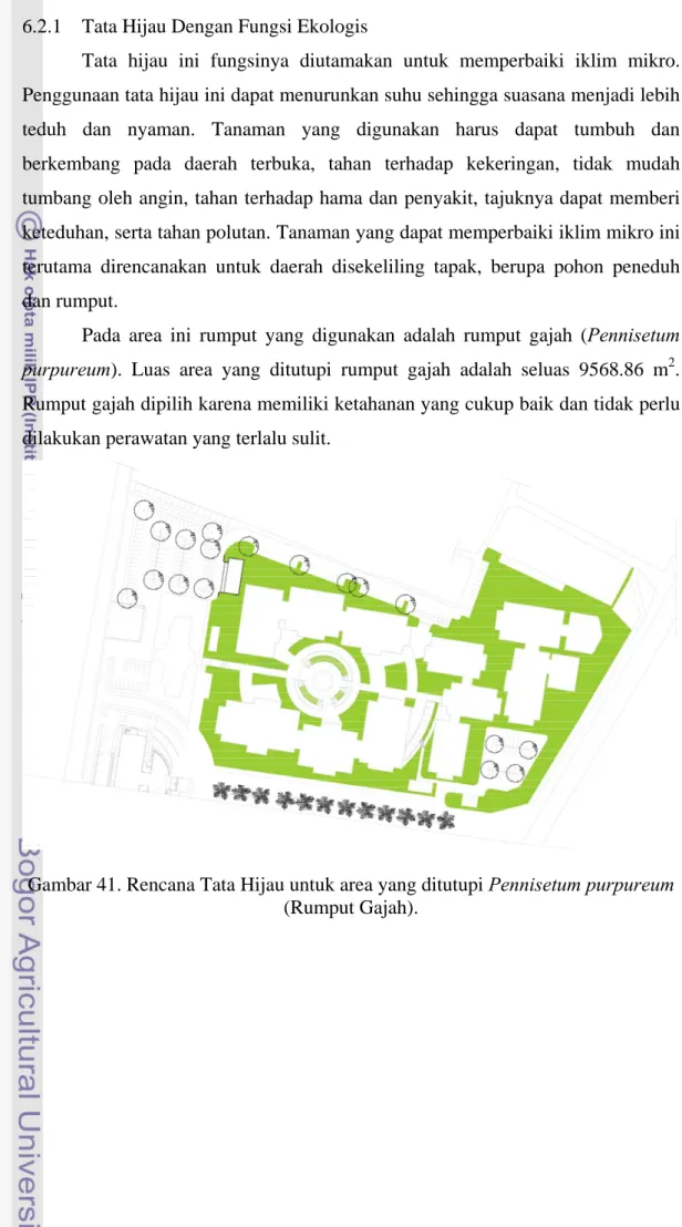 Gambar 41. Rencana Tata Hijau untuk area yang ditutupi Pennisetum purpureum  (Rumput Gajah)