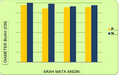 Gambar 13.  Diameter  Buah  (cm)  Tanaman  Jeruk  Varietas  Keprok    Selayar    di    Kabupaten  Jeneponto Sulsel 