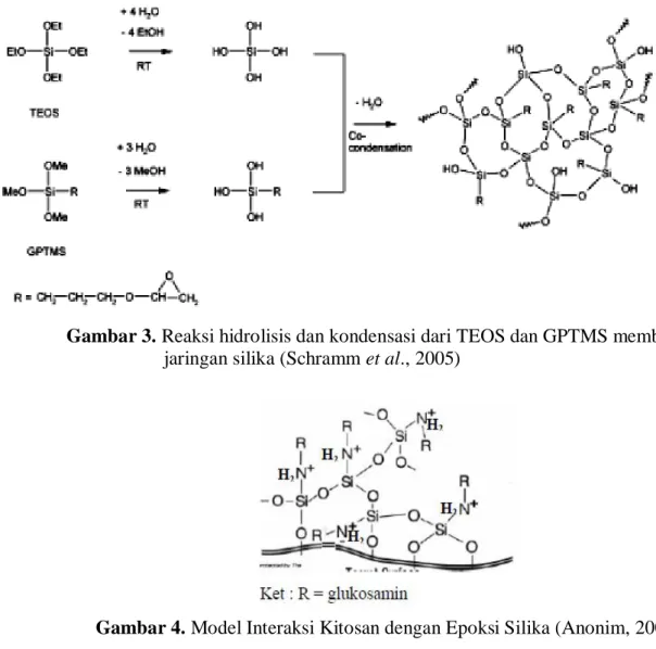 Gambar 3. Reaksi hidrolisis dan kondensasi dari TEOS dan GPTMS membentuk  jaringan silika (Schramm et al., 2005) 