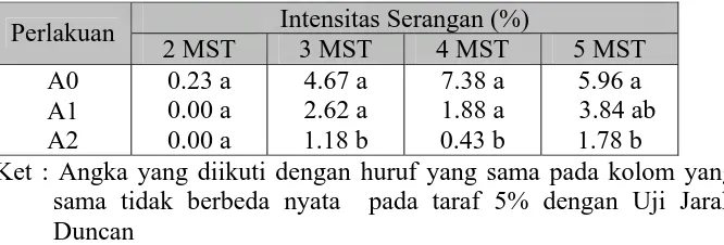 Tabel 2. Beda Uji Rataan Intensitas Serangan Colletotrichum gloeosporioides (%) pada perlakuan Agensia Hayati (A) untuk setiap waktu pengamatan (MST)  