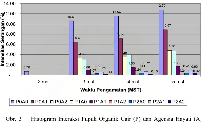 Tabel 3. Beda Uji Rataan Intensitas Serangan Colletotrichum gloeosporioides (%) pada Interaksi Pupuk Organik Cair (P) dan Agensia Hayati (A) untuk setiap waktu pengamatan (MST)  
