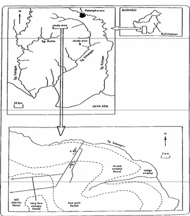 Gambar 1.  Lokasi  penelitian  di bagian hulu daerah aliran Sungai Sebangau (Garis putus-putus  menunjukkan batas antara sub-tipe hutan (Page et al.,1999)