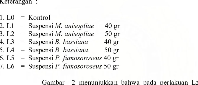 Gambar 2. Grafik Mortalitas Larva B. longissima Gestro (%) 