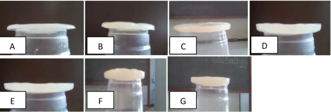 Gambar  1.  Gel  nata-de-coco  yang  telah  dihasilkan  berdasarkan  waktu  fermentasi  (A)  4  hari, (B) 5 hari, (C) 6 hari, (D) 7 hari, (E) 8 hari, (F) 9 hari dan (G) 10 hari 