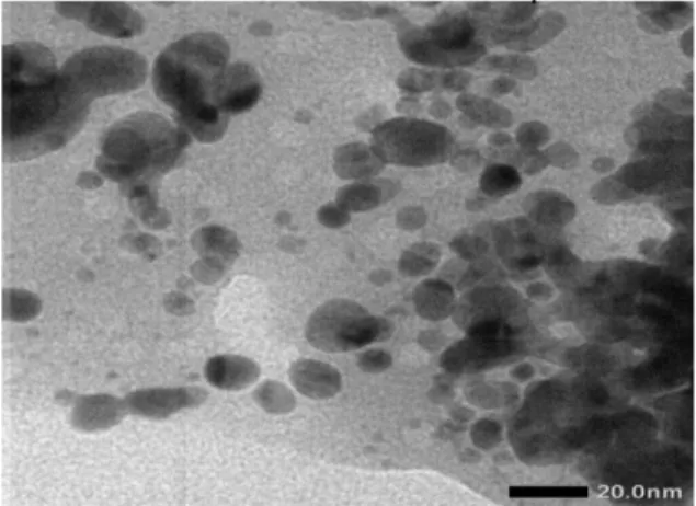 Gambar  9.  Citra  TEM  larutan  koloid  dari  membrane  nata-de-coco-Ag  (5  Mm  AgNO3)  (Perbesaran  20.000x) 