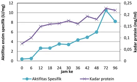 Gambar 10. Grafik perubahan kadar protein dan aktifitas spesifik enzim. 