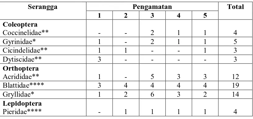 Tabel 3. Total jumlah serangga yang tertangkap pada pertanaman kelapa sawit pada Afdeling 5      