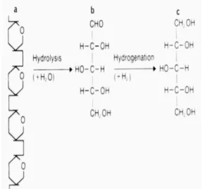 Gambar  2    Hidrolisis  dan  hidrogenasi  xilosa  menjadi  xilitol,  xilan  (C 5 H 8 O 4 ) n ,  n~200  (a);  D