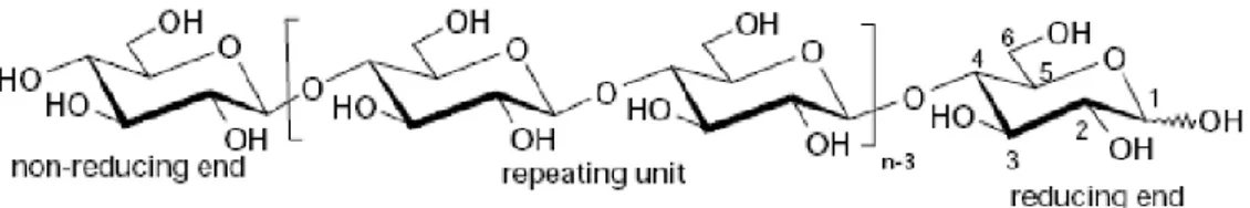 Gambar 4.  Struktur kimia selulosa (Sixta, 2006). 