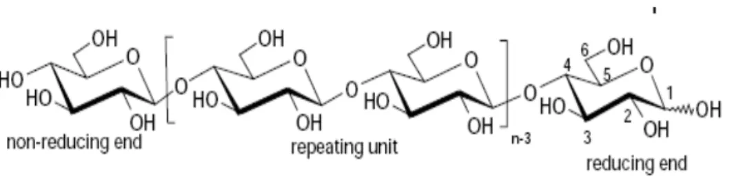 Gambar 1.  Struktur Kimia Selulosa (Sixta, 2006). 