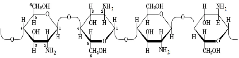 Gambar 2. Struktur kitosan (Murray et al., 2003) 