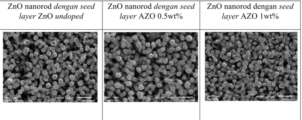 Gambar 2. Hasil SEM permukaan ZnO Nanorod 