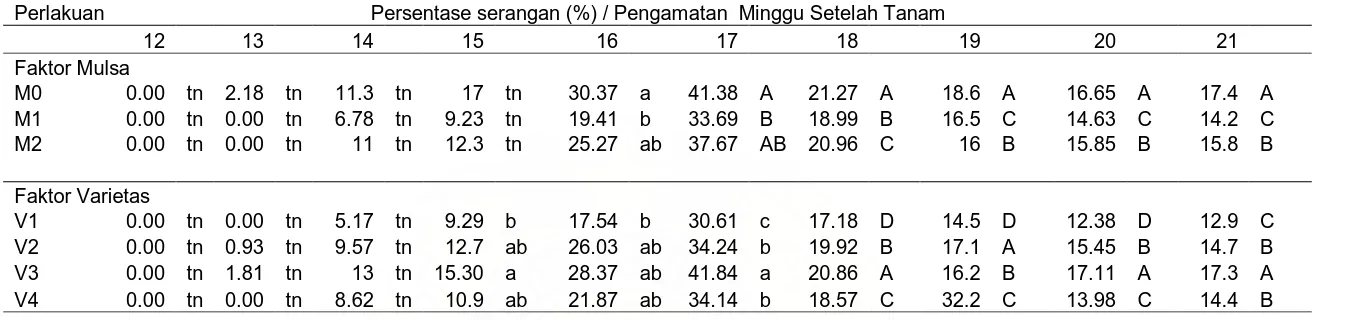 Tabel 1.  Persentase serangan pada buah dengan uji jarak duncan dengan faktor mulsa dan varietas                                  