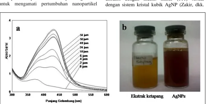 Gambar 1 Spektra UV-Vis AgNPs (a) hasil reduksi [AgNO 3 ] 1 mM dengan ekstrak daun ketapang 0,25  g/mL, (b) Perubahan warna koloid AgNPs setelah waktu reaksi 54 jam.