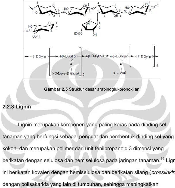 Gambar 2.5  Struktur dasar arabinoglukoronoxilan 
