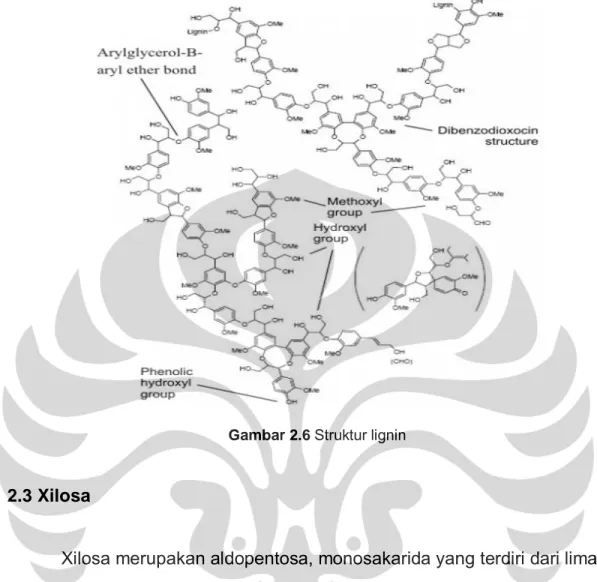 Gambar 2.6  Struktur lignin 
