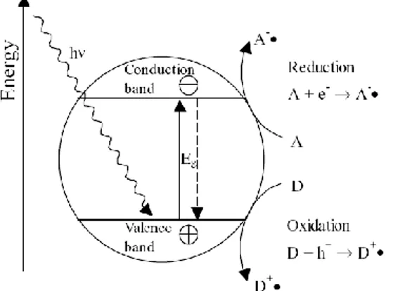 Gambar 2.2 Proses fotokatalis TiO 2  (Benedix, 2000). 