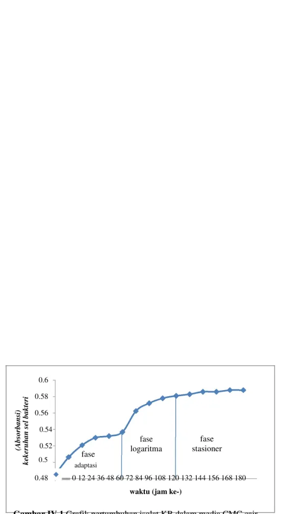 Gambar IV.1 Grafik pertumbuhan isolat KB dalam media CMC cair 