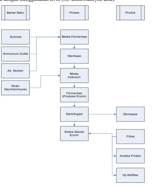 Gambar 1. Bagan alur proses penelitian produksi enzim invertase 