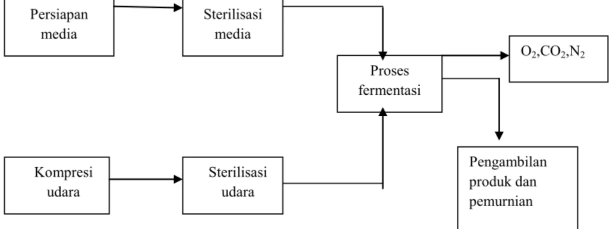 Gambar 2.2 Diagram proses fermentasi 
