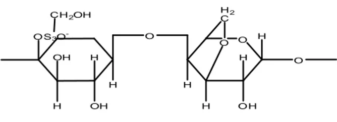 Tabel 1. Kondisi optimum enzim bromelin  bebas dan amobil. 