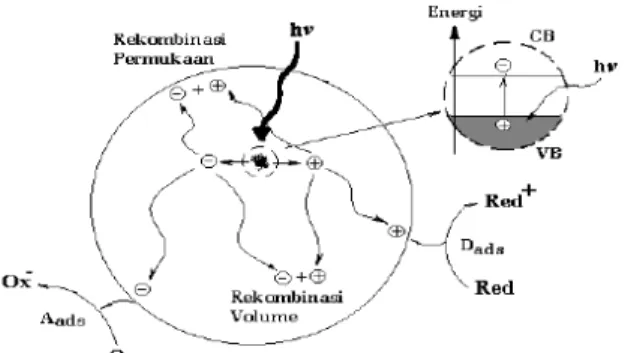 Gambar 2.3Mekanisme perpindahan elektron karena adanya  pengaruh cahaya pada TiO 2  (Hoffman et.al., 1995) 