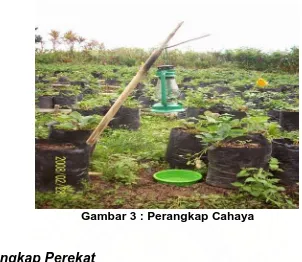 Gambar 3 : Perangkap Cahaya  