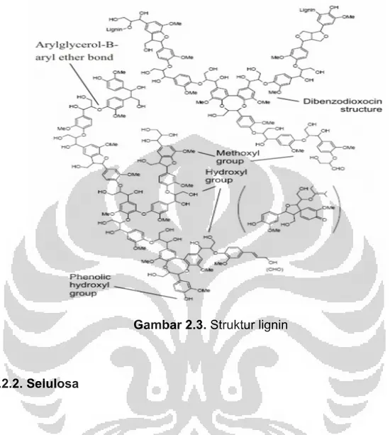 Gambar 2.3. Struktur lignin 