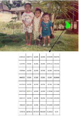 Gambar 3.4 Gambar yang sudah ditandai daerah target dan matrik RGB 