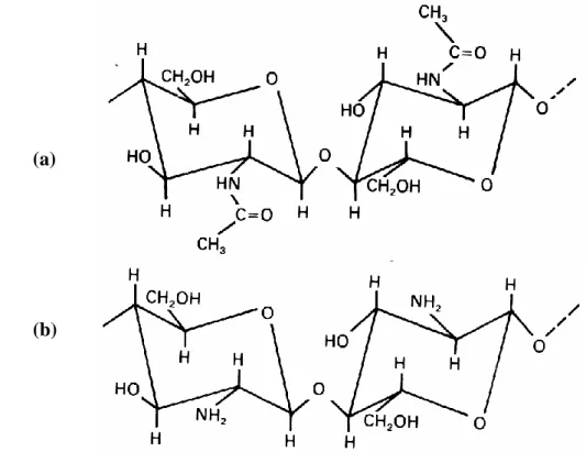 Gambar 2 Struktur kimia (a) kitin dan (b) kitosan 