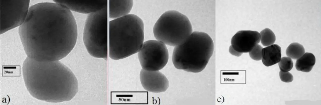Gambar 0.2 a) Nanopartikel ZnO Skala 20 nm, b) Nanopartikel ZnO Skala 50nm, c) Nanopartikel ZnO Skala  100 nm 