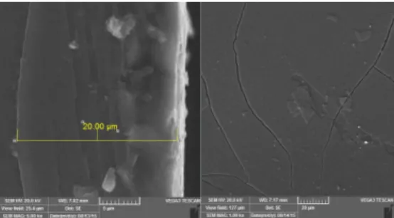 Gambar 7. Hasil SEM