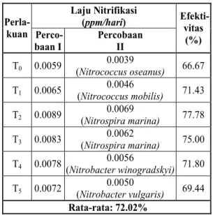Tabel 7.  Perbandingan Efektivitas Setiap Jenis  Bakteri Nitrifikasi.  Laju Nitrifikasi  (ppm/hari) Perla-  kuan   Perco-  baan I   Percobaan II   Efekti-vitas(%)  T 0  0.0059  0.0039  (Nitrococcus oseanus)  66.67  T 1    0.0065  0.0046  (Nitrococcus mobil