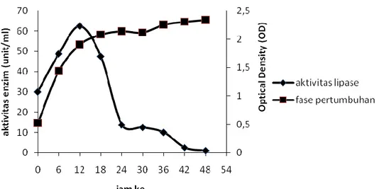 Gambar 2. Kurva produksi lipase dan pertumbuhan bakteri  Azospirillum sp.JG3  Berdasarkan  hasil penelitian  yang 