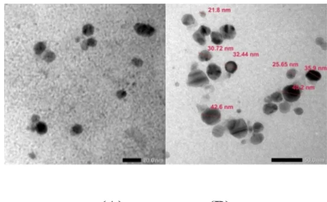 Gambar 5. Hasil foto TEM nanopartikel perak sampel II hasil sintesis pada perbesaran  150.000x (A) dan 100.000x (B)